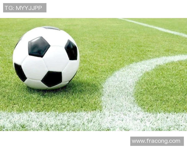 足球世界杯球员位置分布及角色研究