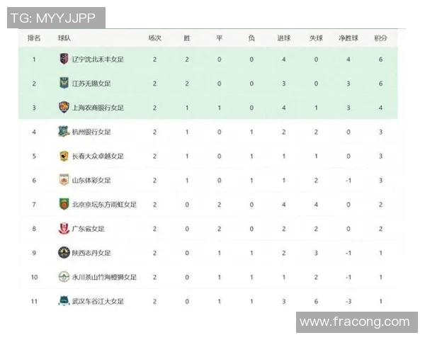 世界杯预选赛积分榜风云：聚焦最新排名与未来赛程安排