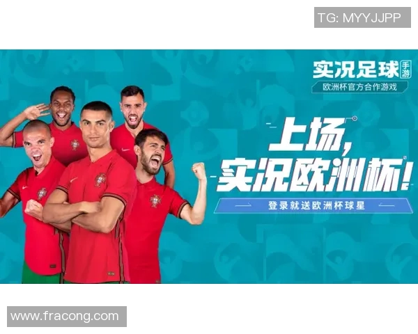 欧洲杯足球赛事中的安全保障体系及其实施措施分析